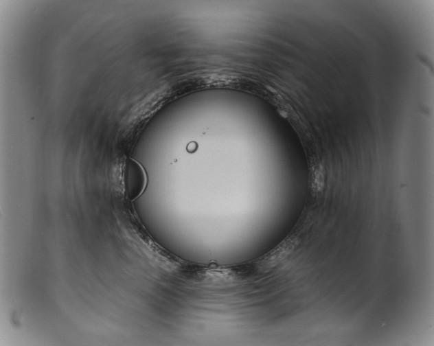 X0000099460666200805231807