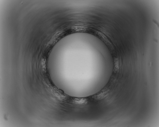 X0000099460667200805231808