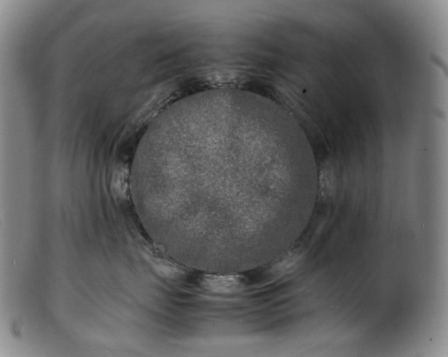 X0000099460671200805231808