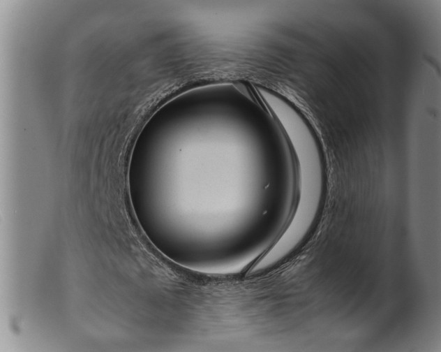 X0000099460673200805231807