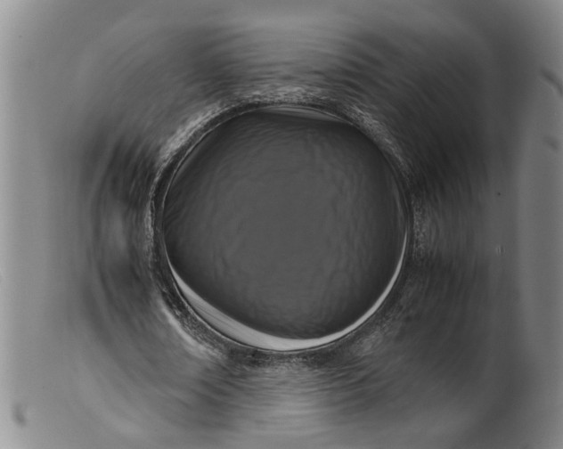 X0000099460674200805231807