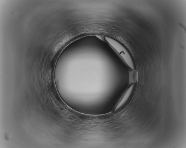 X0000099460675200805231807