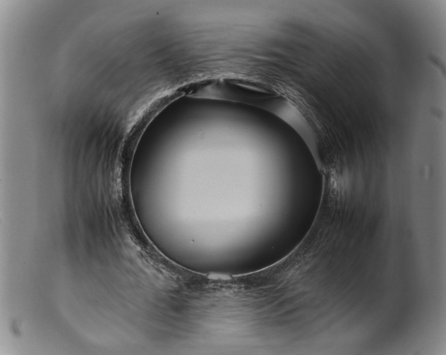 X0000099460676200805231807