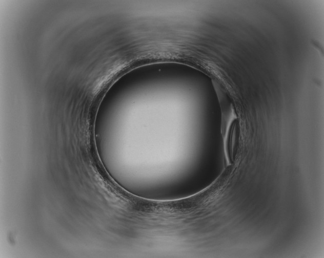 X0000099460677200805231807