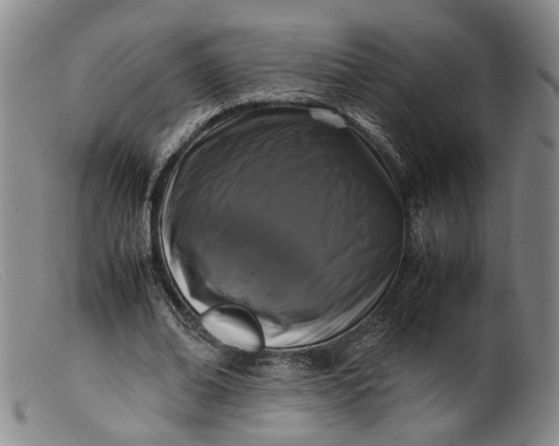 X0000099460678200805231807