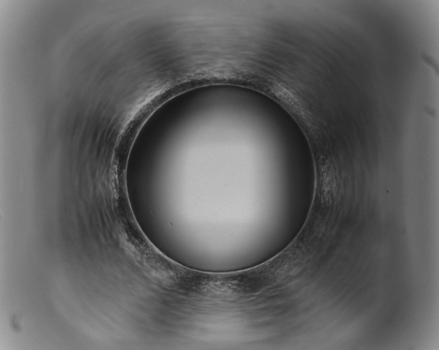 X0000099460680200805231807