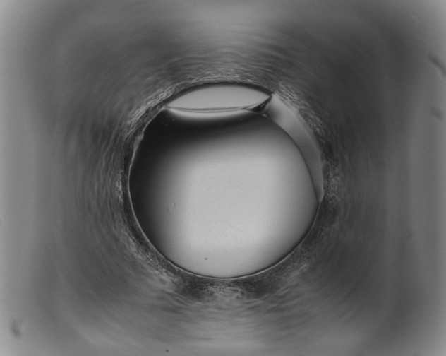 X0000099460681200805231807