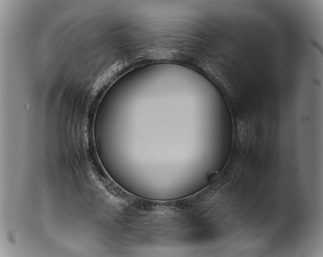 X0000099460682200805231807