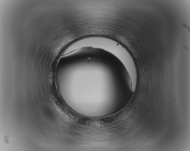 X0000099460683200805231807