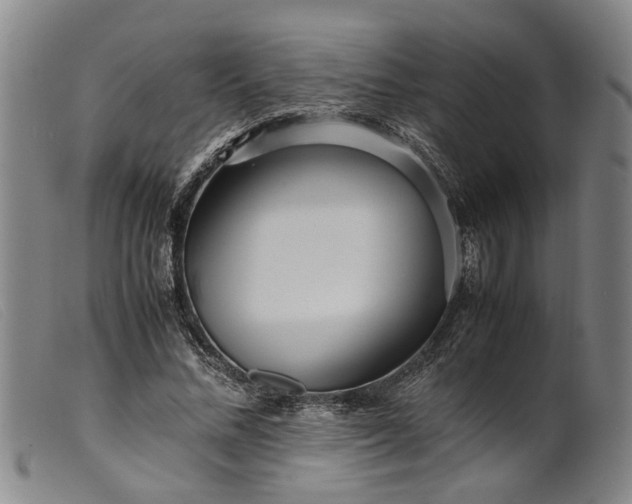 X0000099460684200805231807