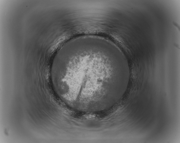 X0000099460687200805231807