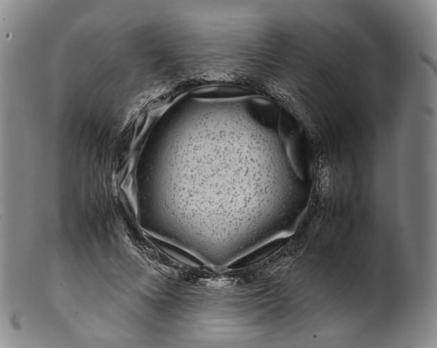 X0000099460688200805231807