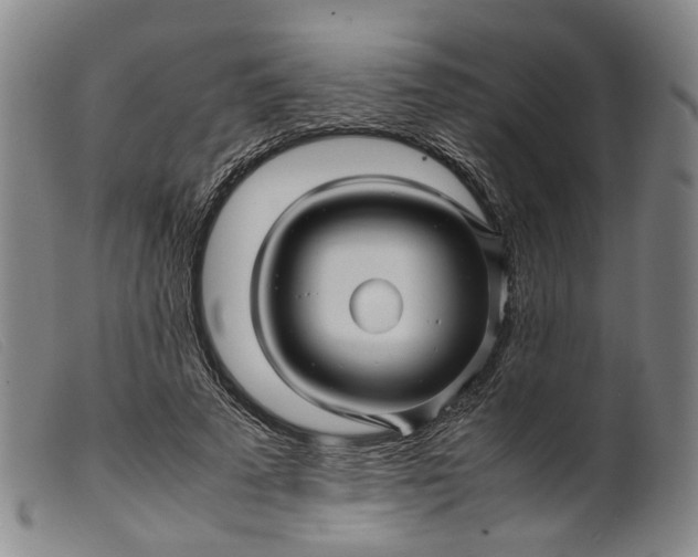 X0000099460689200805231807