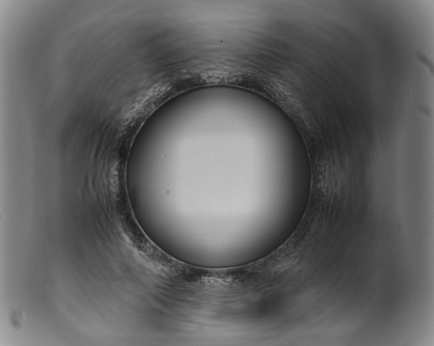 X0000099460690200805231807