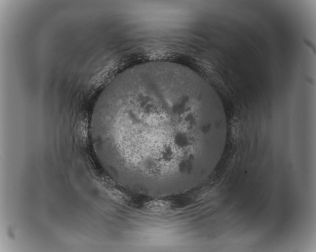 X0000099460691200805231807