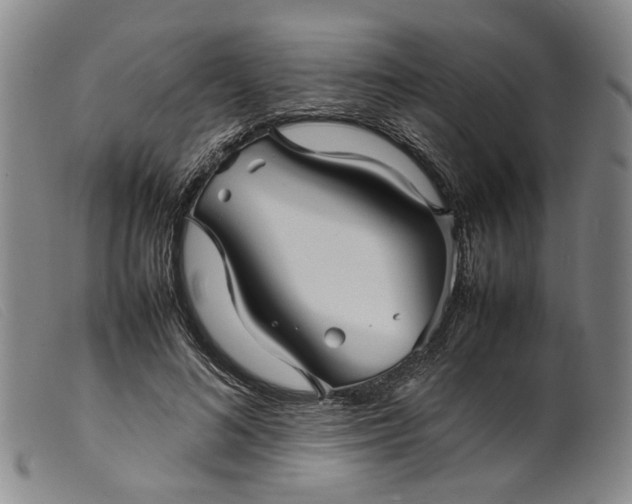 X0000099460692200805231807