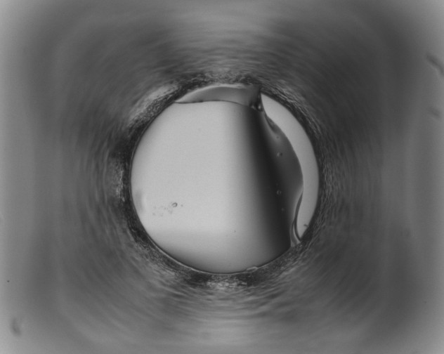 X0000099460693200805231807