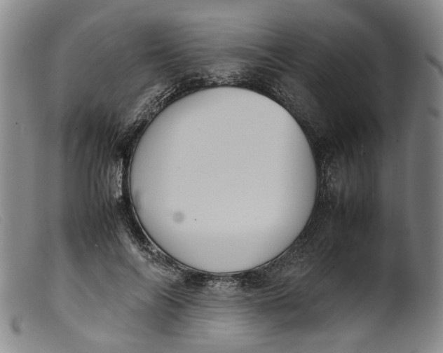 X0000099460694200805231807