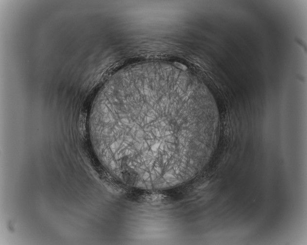 X0000099460695200805231807