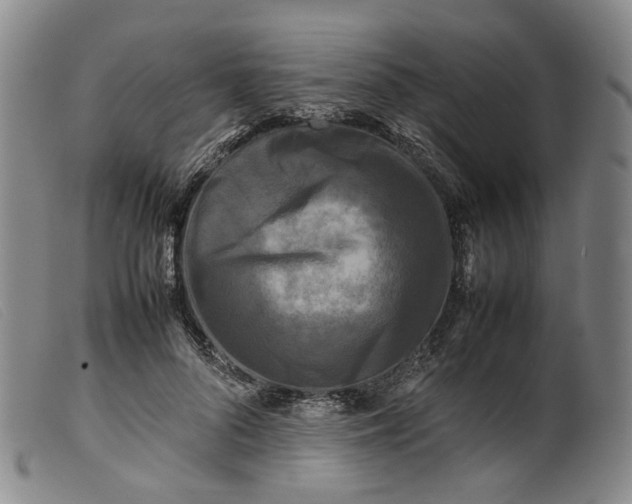 X0000099460696200805231807