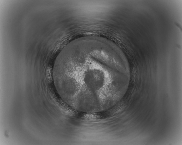 X0000099460699200805231807