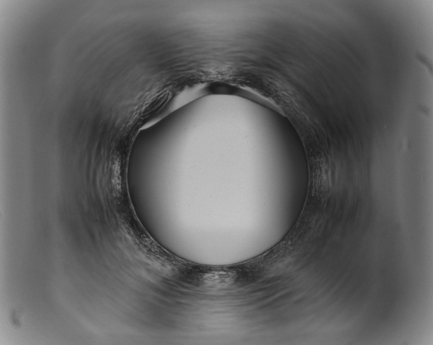 X0000099460700200805231807