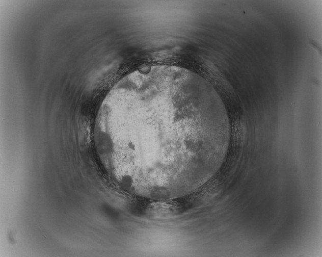 X0000099460703200805231806