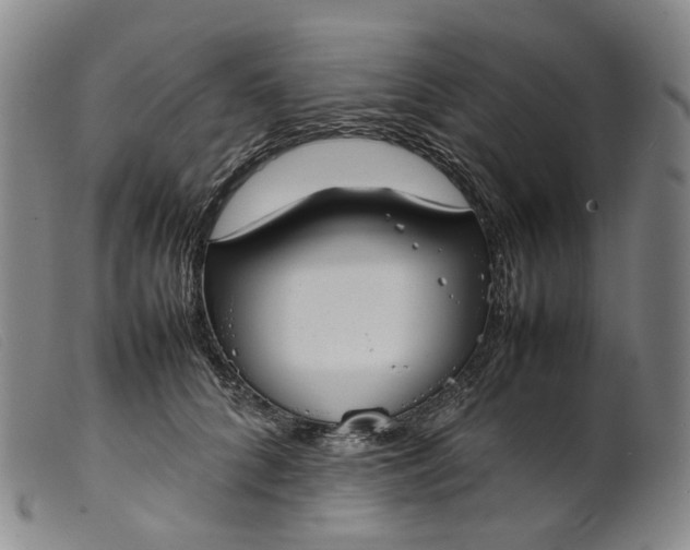 X0000099460704200805231806