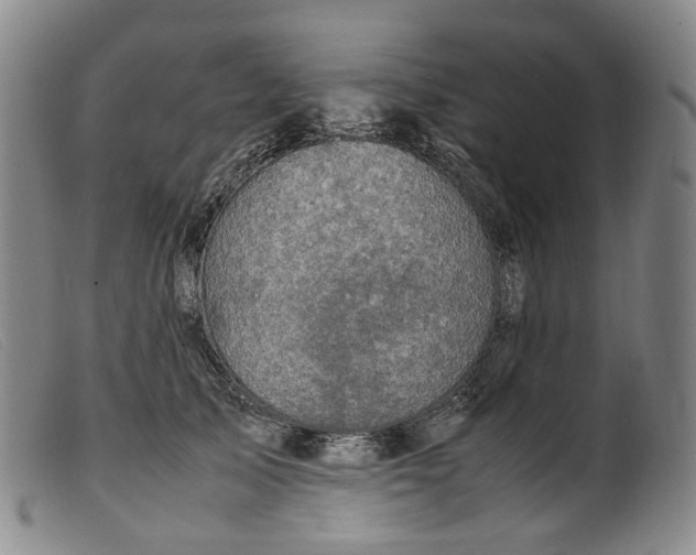 X0000099460705200805231806