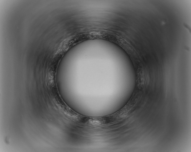 X0000099460706200805231806