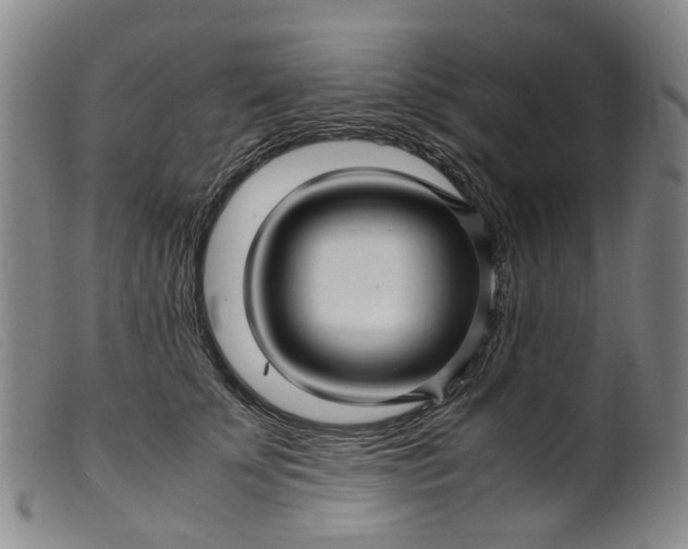 X0000099460707200805231806