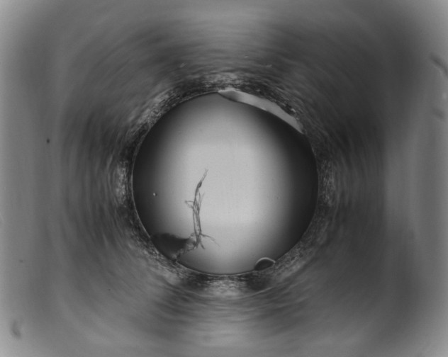 X0000099460708200805231806