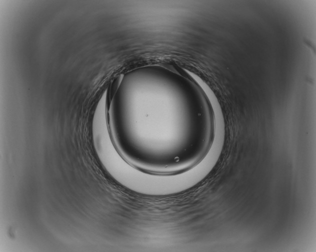 X0000099460709200805231806