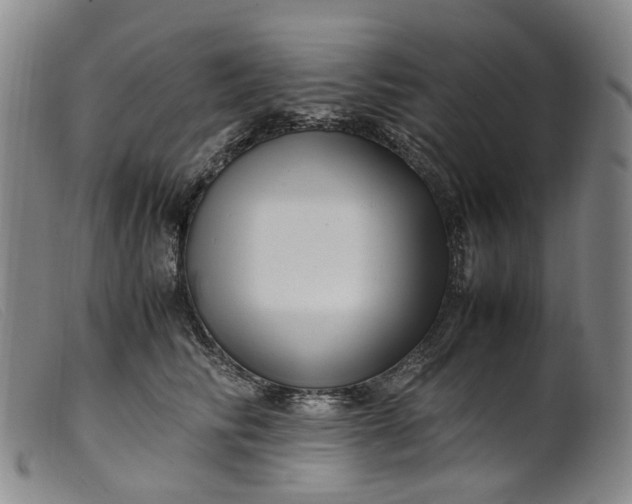 X0000099460710200805231806