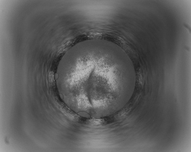 X0000099460711200805231806