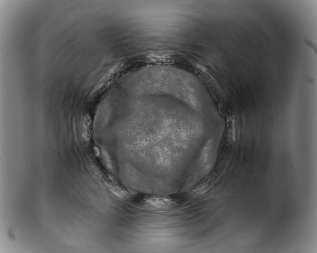 X0000099460712200805231806