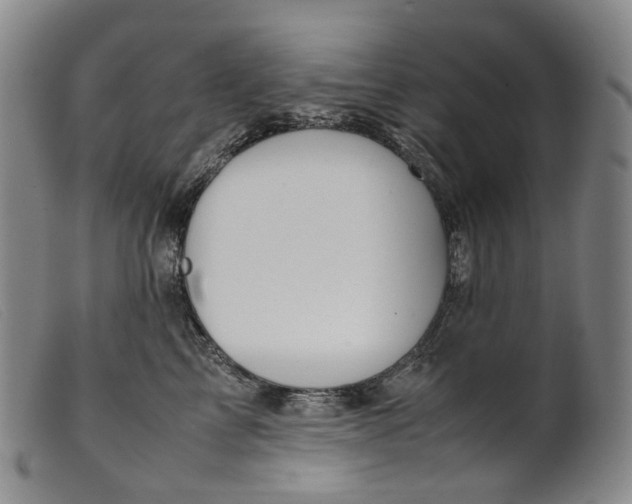 X0000099460713200805231806