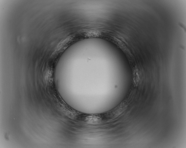 X0000099460714200805231806