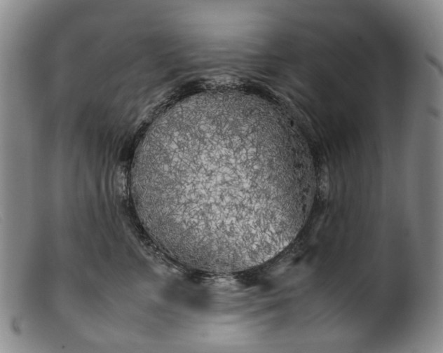 X0000099460715200805231806