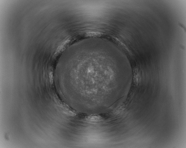 X0000099460716200805231806