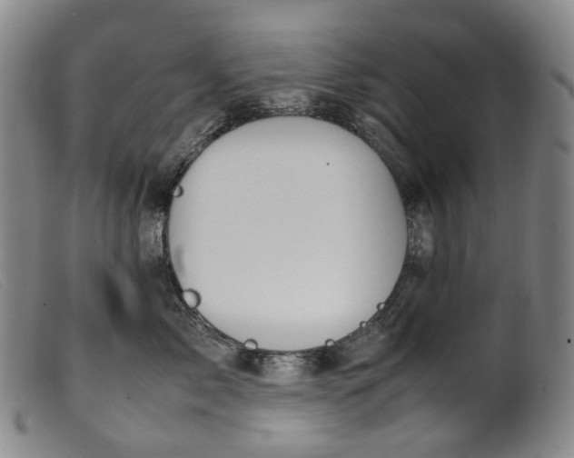 X0000099460717200805231806