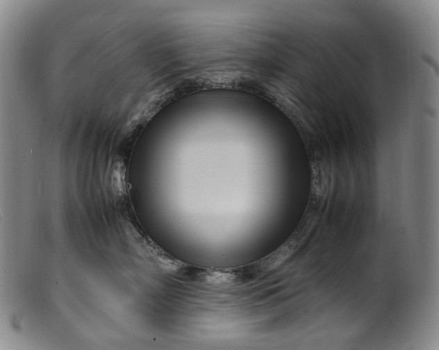 X0000099460718200805231806