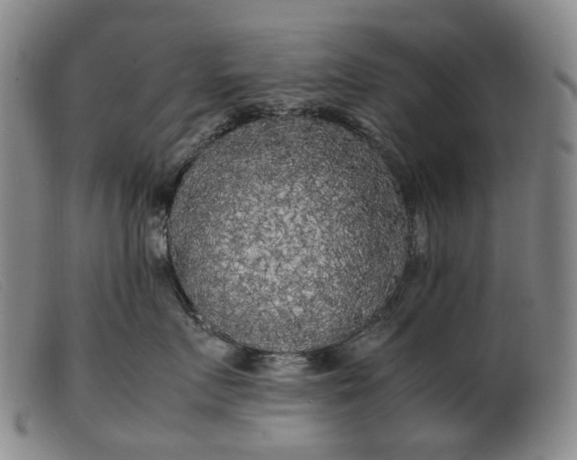 X0000099460719200805231806