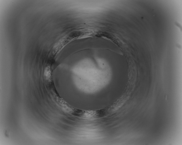 X0000099460720200805231806