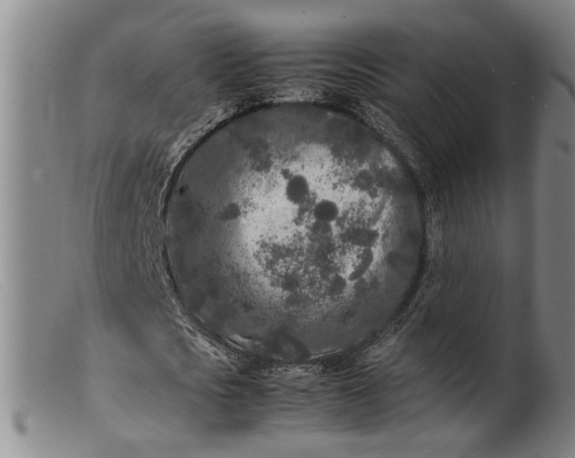 X0000099460721200805231805