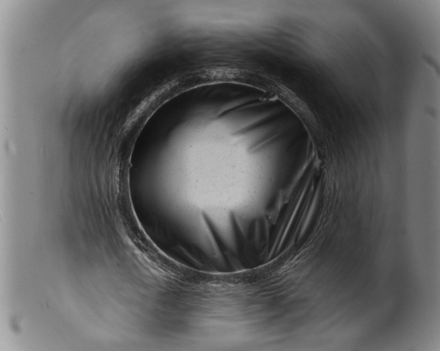 X0000099460722200805231805