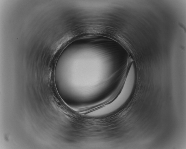 X0000099460723200805231805