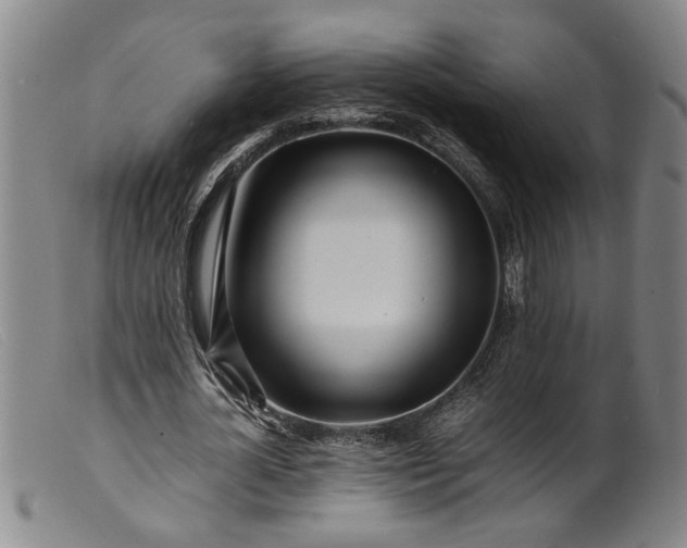 X0000099460724200805231805