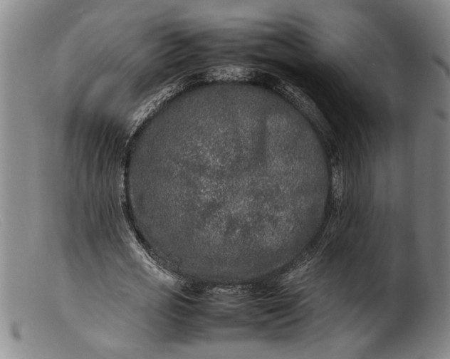 X0000099460725200805231805