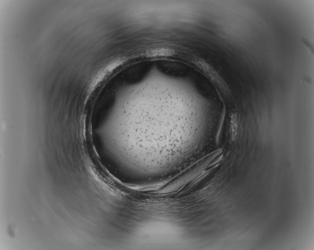 X0000099460726200805231805